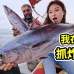 在红海抓炸弹鱼，一根线拉8公斤重鲣鱼，做奶香烤鱼滑嫩！ | 海鲜 | 赶海 | 钓鱼 | 金枪鱼 | 美食 |