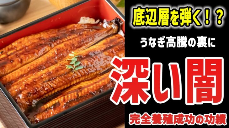 9割が知らない！？うなぎが高い「本当の」理由