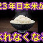 99%が知らない日本の食の闇【目覚めよ日本人】