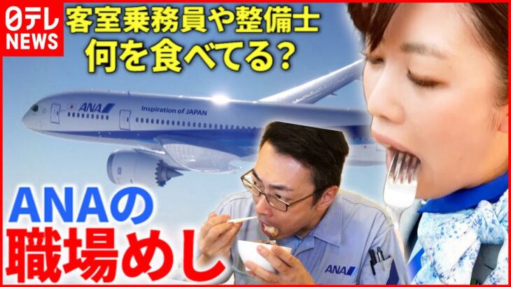 【職場めし】名物ランチ＆機内食も!? ANA”空の安全”守る力の源は 『every.特集』