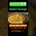 ムンバイ空港　Adani lounge ビジネスクラス　プライオリティパス #スターアライアンス #特典航空券 #anaマイル #staralliance