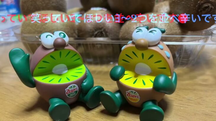 🥝ﾋﾞｼﾞﾈｽBROS🥝ｾﾞｽﾌﾟﾘ🥝ｷｳｲﾌﾞﾗｻﾞｰｽﾞﾌｨｷﾞｭｱ🥝Zespri🥝