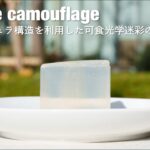 Edible camouflage : レンチキュラ構造を利用した可食光学迷彩の提案