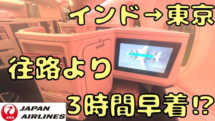 風の影響を受けすぎるJALのビジネスクラスで帰国‼︎