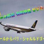 【豪華】シンガポール航空 長距離便 ビジネスクラス　SQ336でシンガポールからシャルルドゴール空港へ 【華の都・Paris】へ