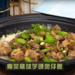 睇餸食飯｜欖菜雞球芋頭煲仔飯 | TVBUSA | 食譜 | 家常菜 | 料理 | 教程