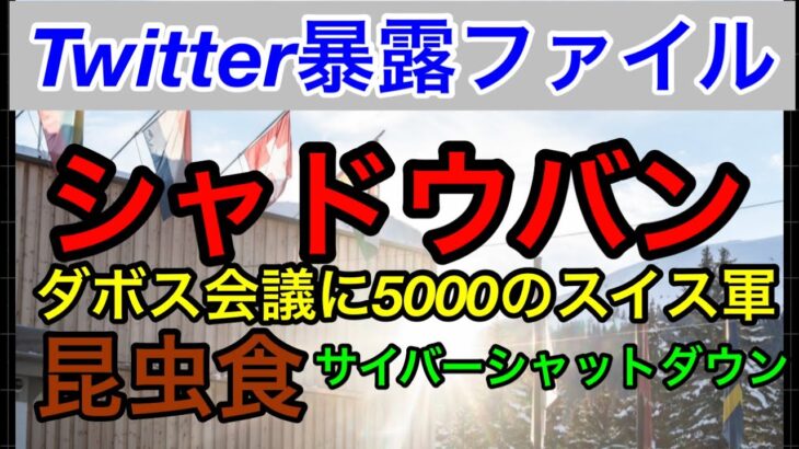 【Twitter暴露ファイル】【シャドウバン】ダボス会議で決まる「昆虫食🦗」「車の購入制限？」会場付近に5000のスイス軍が展開してピリピリ検問中