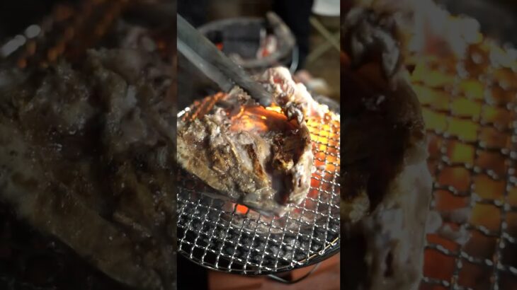 【七輪】マダイの兜焼きがうますぎる！　#食テロ #seafood #asmr #炭火焼き #キャンプ飯 #redseabream