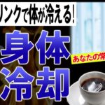 【ゆっくり解説】全人類が勘違い⁉実はホット●●で身体が冷える?！