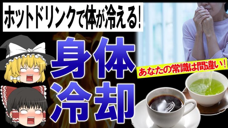 【ゆっくり解説】全人類が勘違い⁉実はホット●●で身体が冷える?！