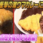 【鳥取応援シリーズ③】石ちゃんの食レボ歴を揺るがす衝撃激ウマカレー