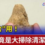 超”食”用！麵包竟也是大掃除”清潔好物”