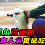 銀龍魚隨便抓，食人魚更是吃不完，土著人讓你知道什麼叫資源豐富