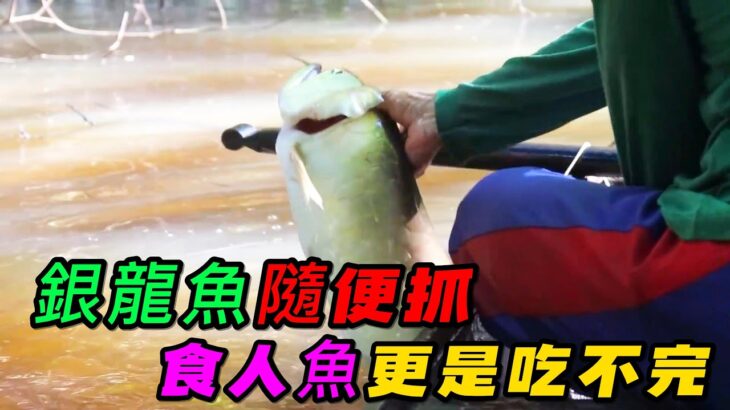 銀龍魚隨便抓，食人魚更是吃不完，土著人讓你知道什麼叫資源豐富