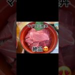 青森県大間町　マグロ三食丼とマグロステーキ