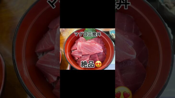 青森県大間町　マグロ三食丼とマグロステーキ