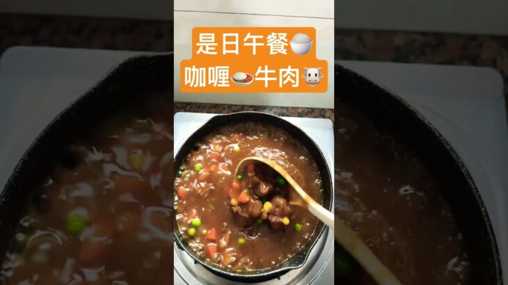 是日午餐🍚　　　咖喱🍛牛肉🐮　　　天氣涼🥶了，食返碗熱辣辣嘅咖喱飯🍛暖身😆