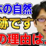 日本の自然は宝！日本の食文化は奇跡！