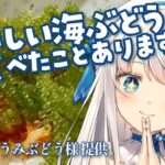 【食レポ雑談】海ぶどう愛を叫ぶ配信 おきなわうみぶどう様提供！【#新人vtuber #凪乃ましろ】