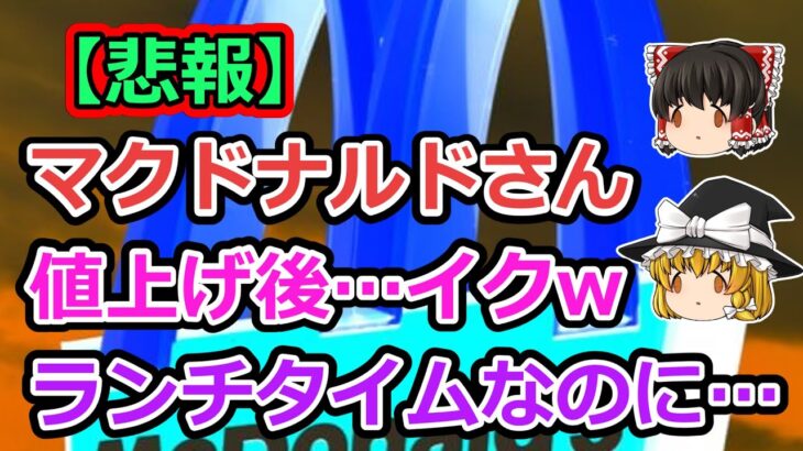 【悲報】マクドナルド値上げ後のランチタイムがw【2ch食スレ】【ゆっくり解説】