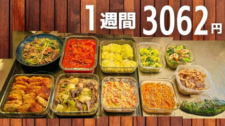 【1食100円台】食費を抑えたい人必見☆作り置きおかずレシピ #118