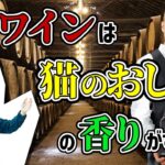 言語学から考える食レポ。なぜソムリエは謎の語彙を使うのか？【食レポ1】#202