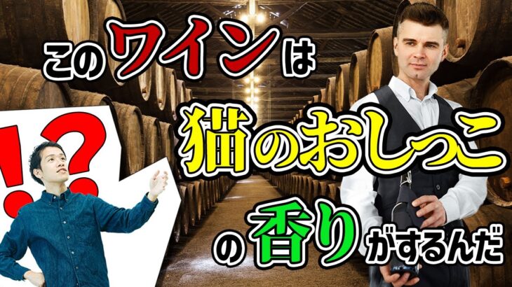 言語学から考える食レポ。なぜソムリエは謎の語彙を使うのか？【食レポ1】#202