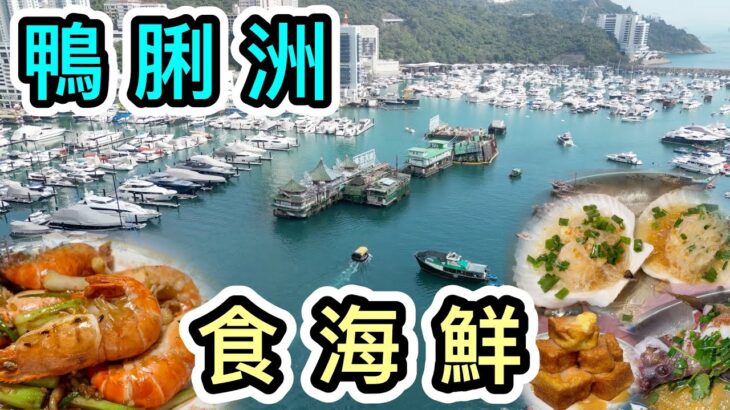 【食海鮮】鴨脷洲行街市+買海鮮加工🦞街坊熟食中心😳人均消費$200幾超值👊超巨型扇貝🤤鴨脷洲海鮮｜南區美食｜洪聖文化節活動巡遊｜洪聖爺｜香港美食｜香港好去處｜利東｜實測｜香港一日遊｜漁市場｜4K航拍