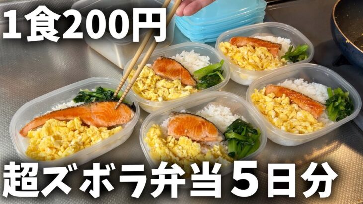 【１食200円】「鮭弁当」5日分作り置きして冷凍する休日