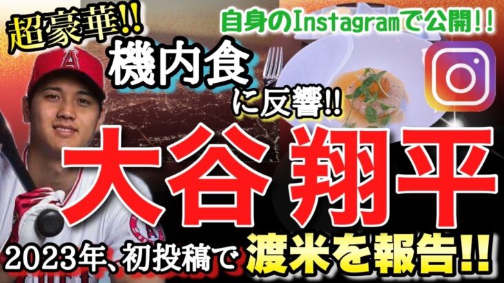 超豪華！大谷翔平の機内食に反響　2023年初投稿で渡米を報告