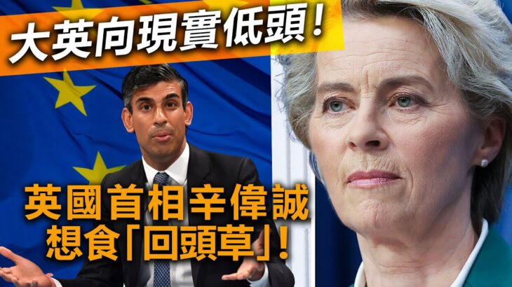 20230215F 大英向現實低頭！英國首相辛偉誠想食「回頭草」！