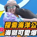 【馬尼拉】探索海洋公園 俏皮海獅可愛爆表【食尚玩家瘋狂總部】20230223(2/4)