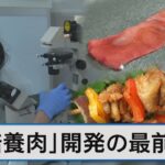 食の未来を救う「培養肉」とは 2040年には食肉消費の35％を占める？【Bizスクエア】｜TBS NEWS DIG