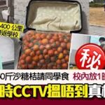 女生帶50斤沙糖桔返校請同學食　成篋唔見查CCTV搵唔到　真相是…｜01熱話｜沙糖桔｜失竊｜大學生