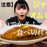 【汗だく注意】一食で卵6個！ジャンボオムレットカレー in釧路 カラス亭