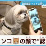 【犬の鼻】ビジネスチャンスを嗅ぎ分ける？700万匹の巨大市場　迷子犬ゼロへ