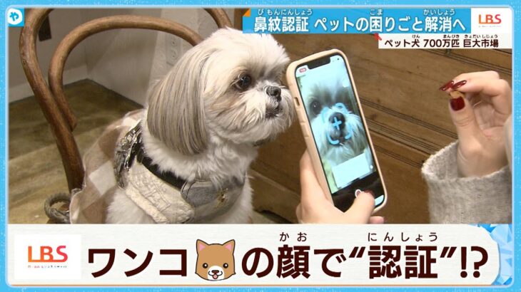 【犬の鼻】ビジネスチャンスを嗅ぎ分ける？700万匹の巨大市場　迷子犬ゼロへ