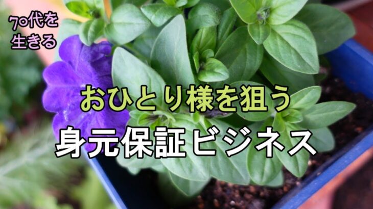 【70代を生きるNo.108】一人暮らし老人を狙う「身元保証」ビジネス詐欺に遭った知人の話／野菜と鶏手羽のグリル焼き／菜の花の辛し和え