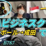 ANAビジネスクラス(B787)で日本に帰国！【大学生一人旅】