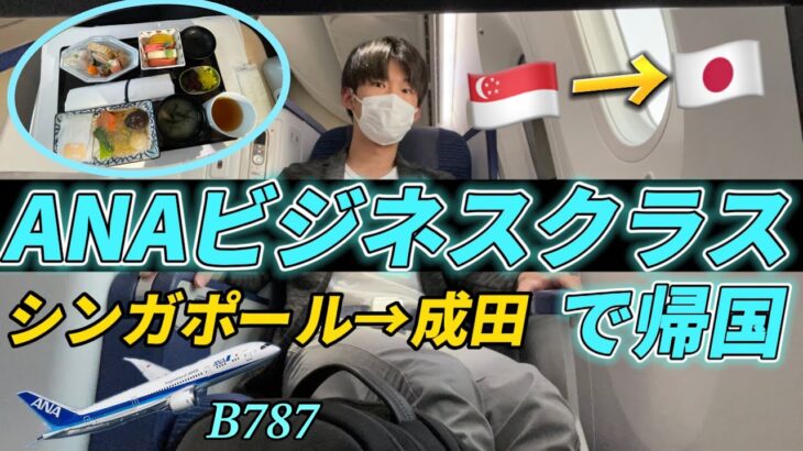 ANAビジネスクラス(B787)で日本に帰国！【大学生一人旅】