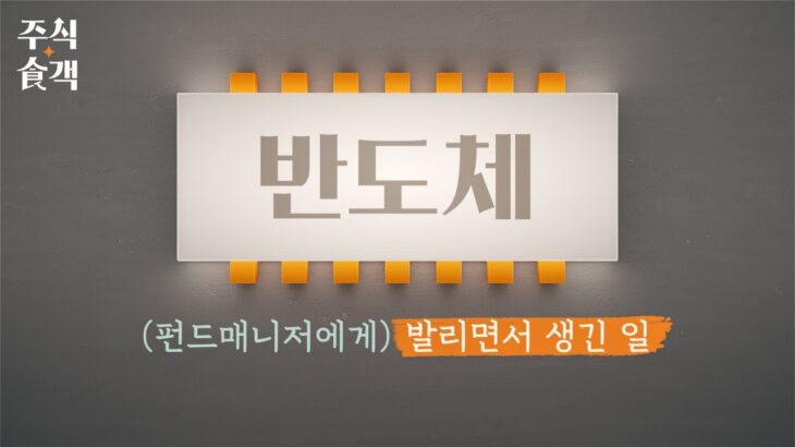 [주식食객: 기업 맛집을 찾아서] Ep.3 –  반도체, 펀드매니저는 애널리스트에게 뭘 물어볼까? (SK하이닉스)