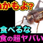 死ぬかもよ？コオロギと昆虫食の超ヤバい裏話。食のグレートリセットが始まった【 株 FX 都市伝説 コオロギ 食糧危機 】