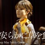 平和な世界【バッハ/羊は安らかに草を食みJ.S Bach: Sheep May Safely Graze】