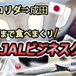 【JALビジネスクラス】シカゴ-成田便ビジネスクラスレビュー/オーランド空港アメリカン航空アドミラルズクラブ(Admirals Club)レポート