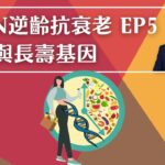 NMN 逆齡抗衰老系列 EP5 : 斷食與長壽基因🧬 | 逆齡抗衰老⏪ | Dr. SAM🥼