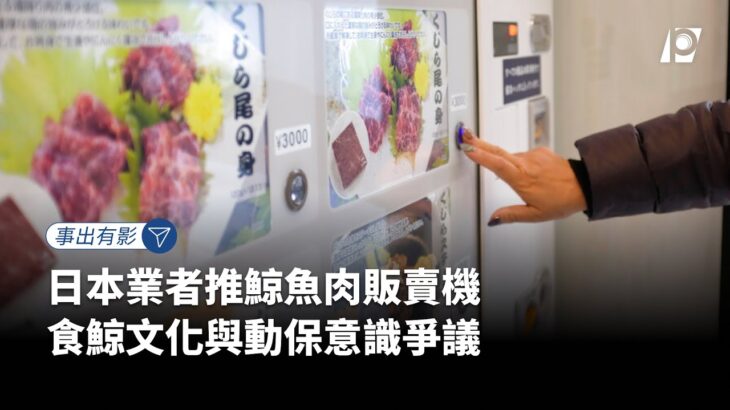 【#P有影】日本業者推鯨魚肉販賣機 食鯨文化與動保意識爭議