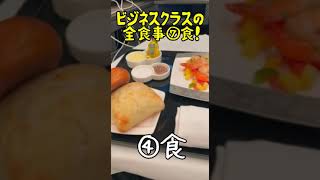 ⑫【ビジネスクラスのリポーターパパ】【食事が異次元すぎた！】東京ふたごハウスパパ シカゴに行く！パート⑫　TOYKO FUTAGO HOUSE PAPA IN CHICAGO PART⑫