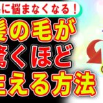 薄毛の悩みを全解消する、髪の毛が生えてくる方法【ゆっくり解説】