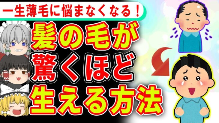 薄毛の悩みを全解消する、髪の毛が生えてくる方法【ゆっくり解説】