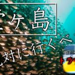 【伊豆制覇企画】トラブルだらけの堂ヶ島編ダイビング！#独立　#起業 #水中映像